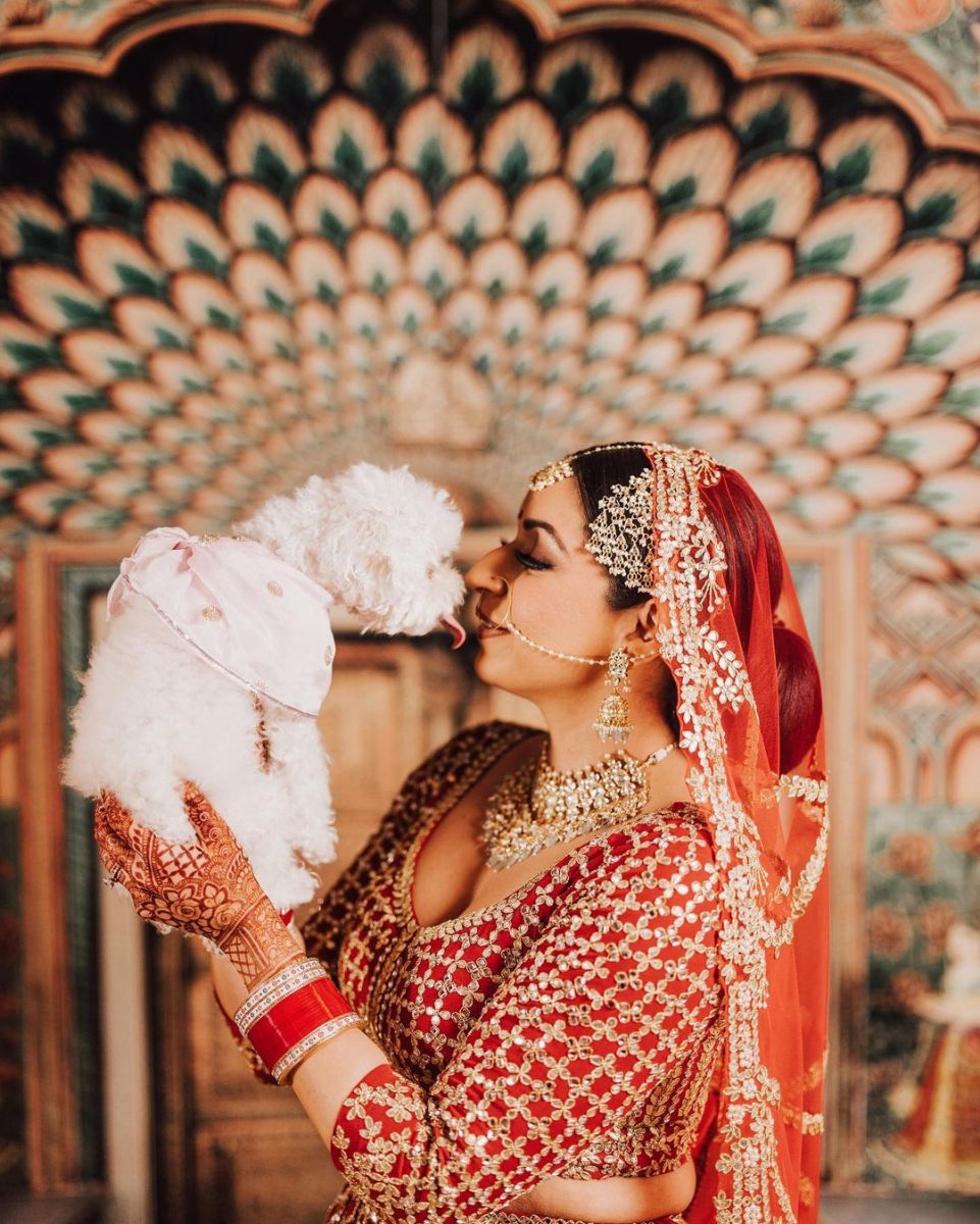 Pin by Niloufer Khan on Bridal fashion India/Pakistan | Indian wedding  photography poses, Indian bride poses, Indian wedding bride